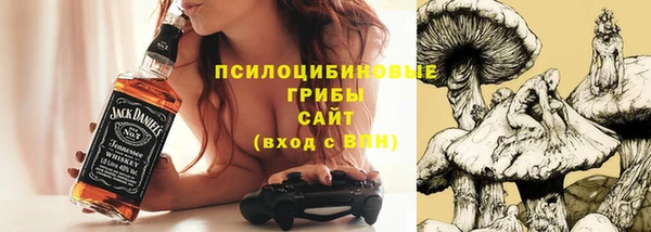 стаф Абинск